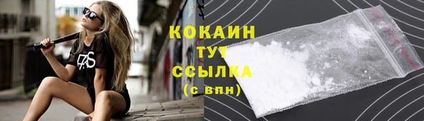 дживик Арсеньев