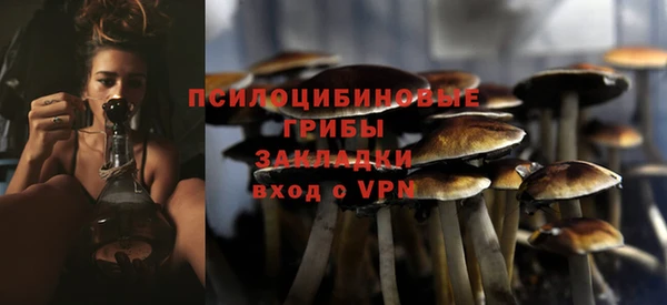 apvp Армянск