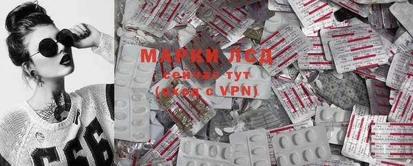 дживик Арсеньев