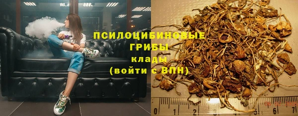 apvp Армянск