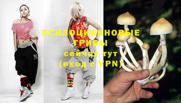 дживик Арсеньев