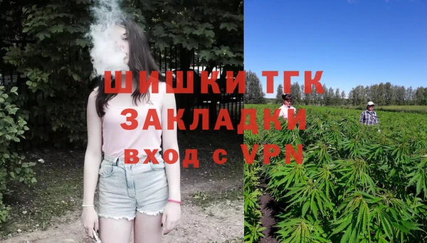 дживик Арсеньев