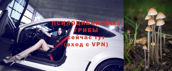 apvp Армянск