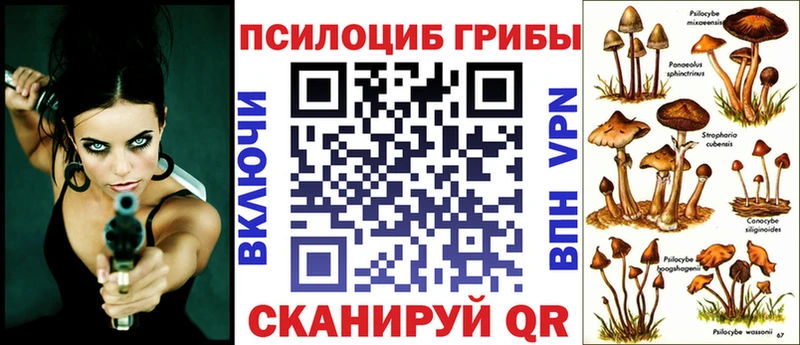Псилоцибиновые грибы мухоморы  наркотики  Курганинск 